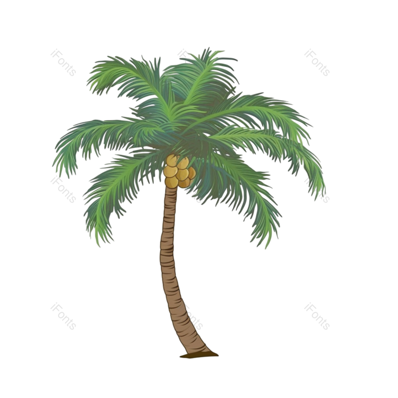 装饰图片,元素元素,夏天PNG,椰子免抠素材